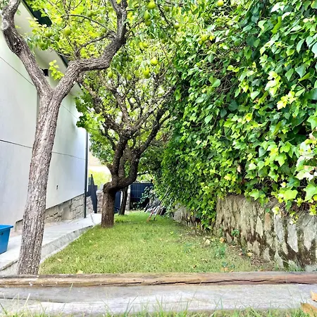Villa Villa Completa de Verano en Pantano de San Juan con Piscina privada y Barbacoa *