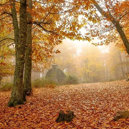 Cerca De Pantano De San Juan Con Cine, Jardin, Bbq Y Piscina Privada Наваондилья