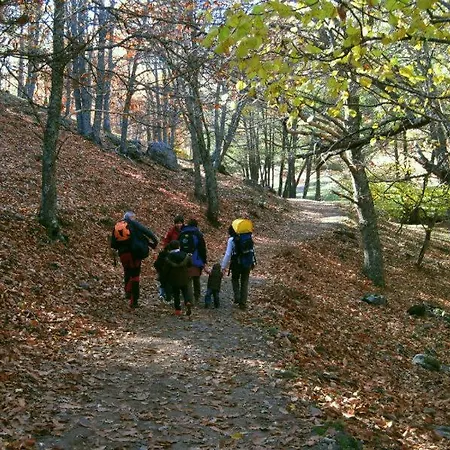 Вилла Cerca De Pantano De San Juan Con Cine, Jardin, Bbq Y Piscina Privada Наваондилья