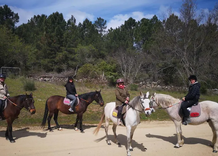 Cerca De Pantano De San Juan Con Cine, Jardin, Bbq Y Piscina Privada Villa *