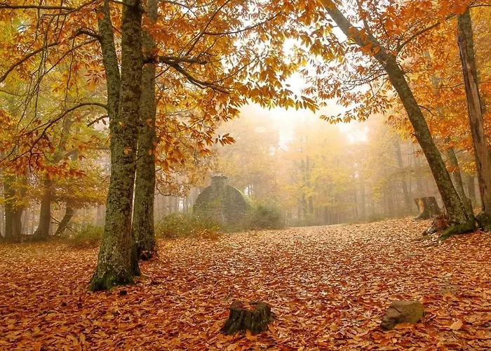 Cerca De Pantano De San Juan Con Cine, Jardin, Bbq Y Piscina Privada Navahondilla